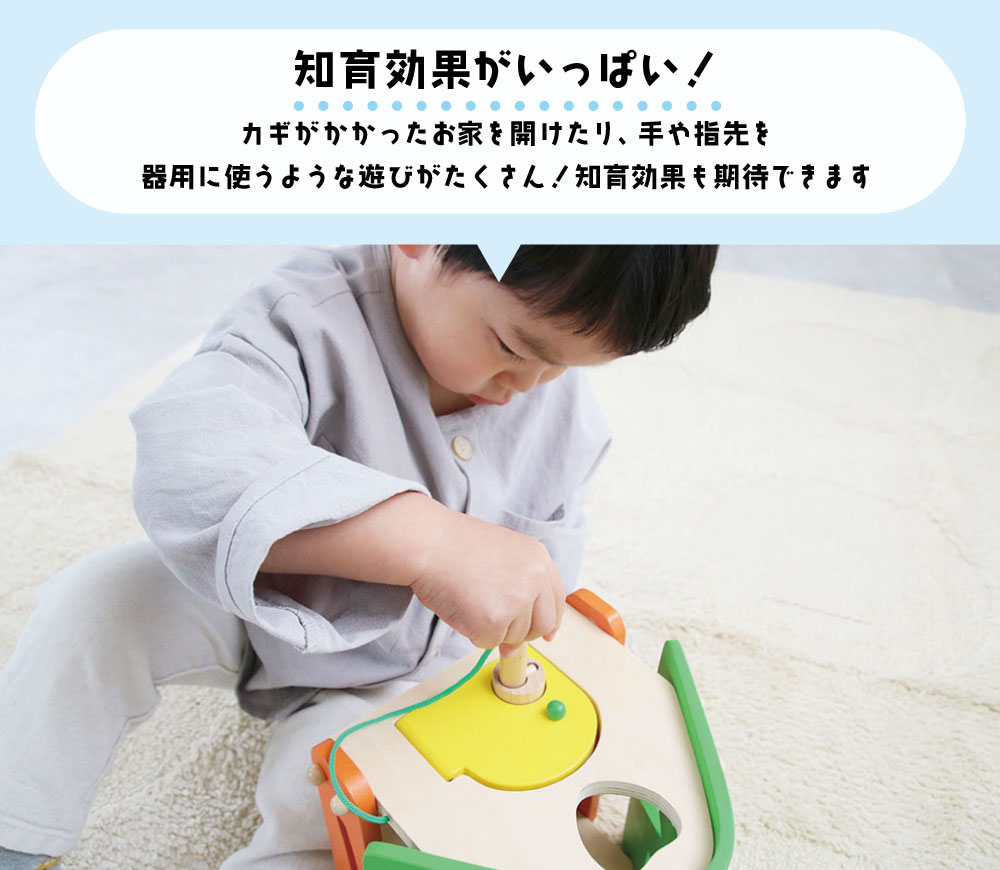 あそびのお家