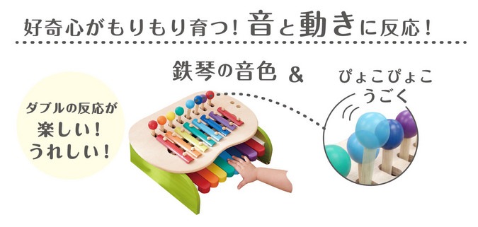 森のメロディーメーカー