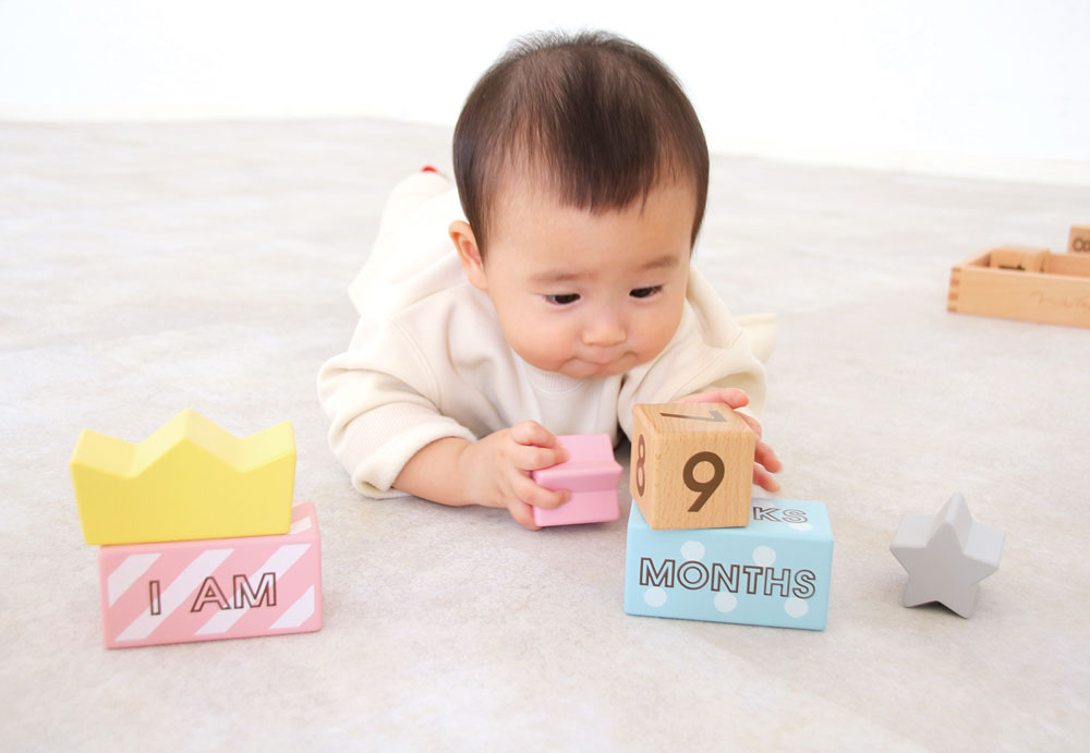 メモリービスケット