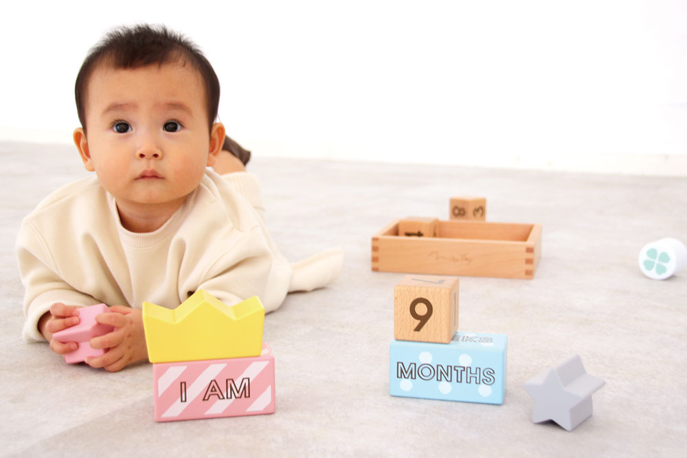 メモリービスケット