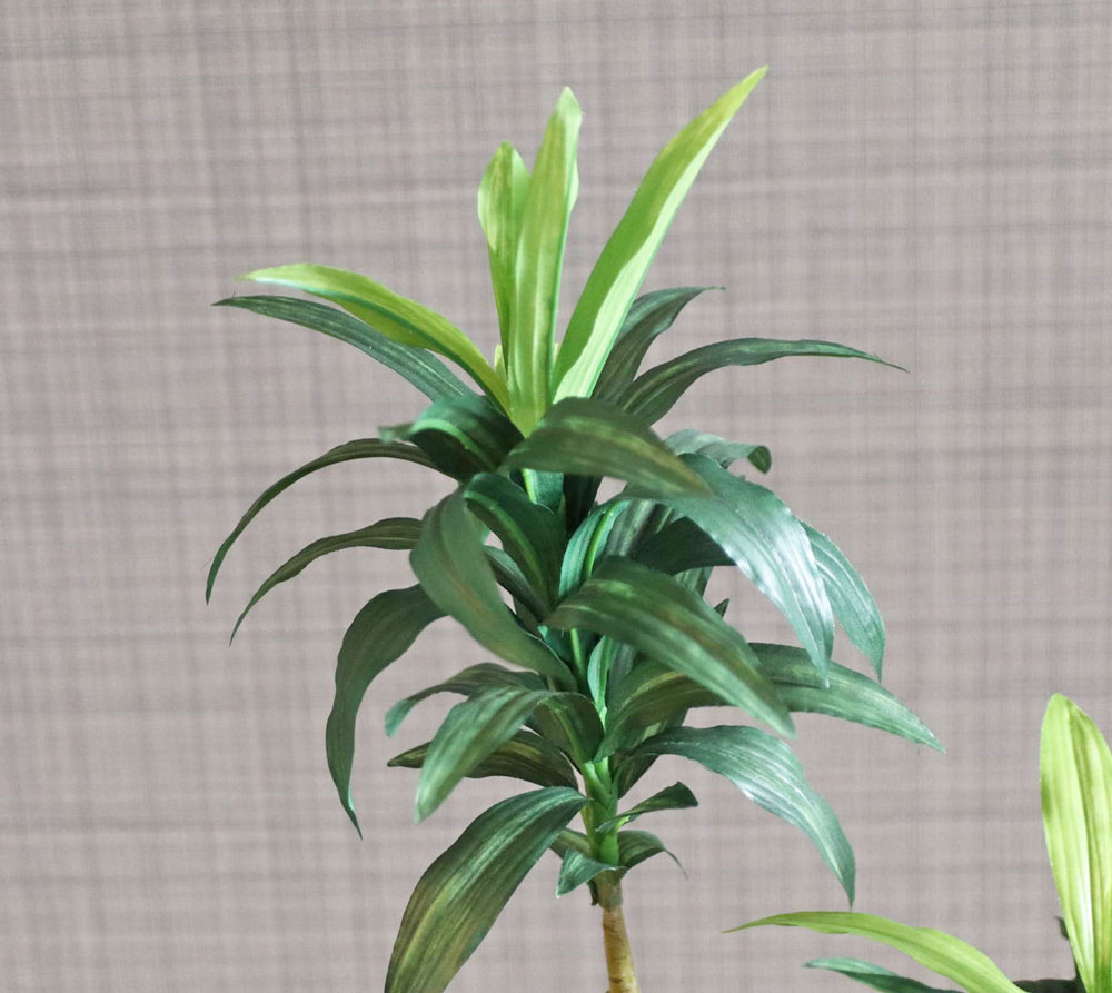 ドラセナ フェイクグリーン 111cm コンパクト おしゃれ｜恵月人形本舗