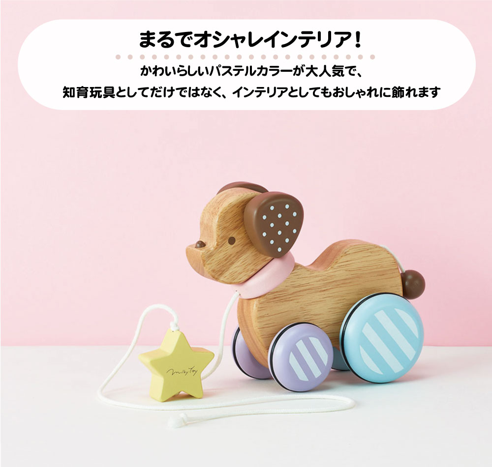 ミルキーパピー