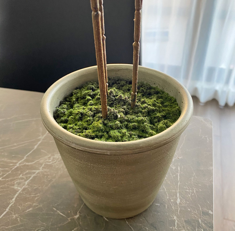 ベンジャミン フェイクグリーン 60cm コンパクト おしゃれ｜恵月人形本舗