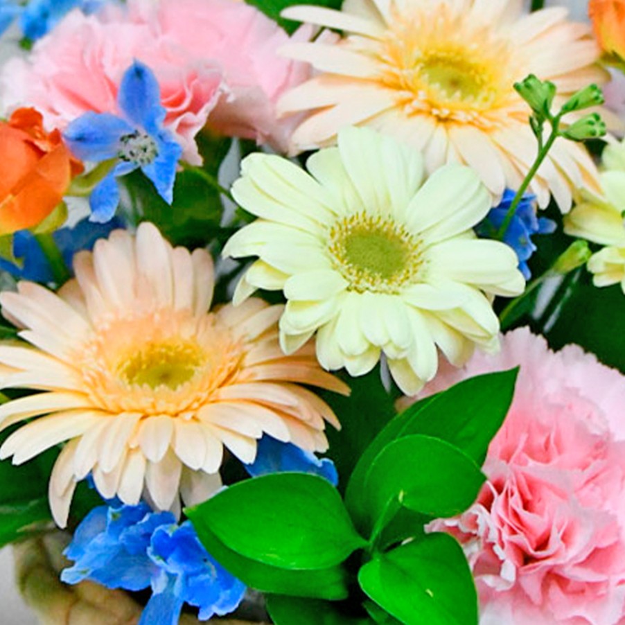 2507 ミックスカラーのアレンジメント