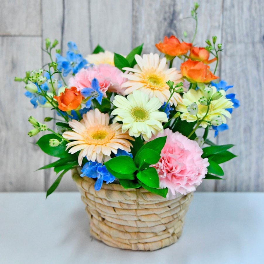 染め花 アレンジメント 完成品 2507 ミックスカラーのアレンジメント