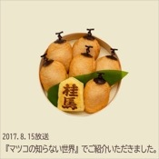 柿天づくし/丸折6個