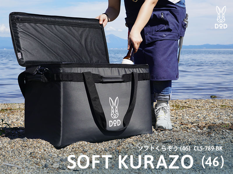 ��DOD�ۥ��եȤ��餾����46�˥֥�å� CL5-789-BK