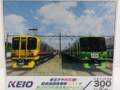 【アートマンオリジナルパズル】京王デヤ900形 総合高速検側車(DAX)と京王8000系 高尾山トレイン