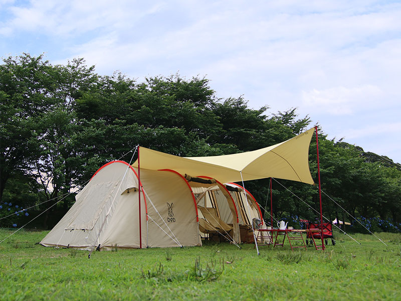 ��DOD�ۥ����饿���סʥ���� TT8-583-TN