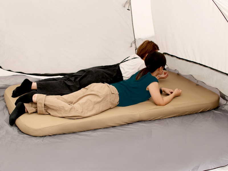 ���ȥͥΥ����M(�ޥ���ʤ�)��CM2-650-TN