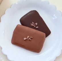おすすめ商品 | 鎌倉チョコビスケ　4枚入