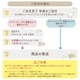 ǯ٥ȡ _ 6ꥸʥT