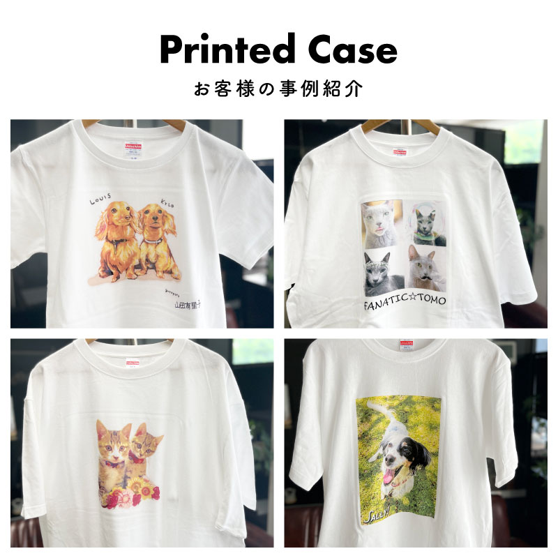 ̾ߥǥ _ ˰ĤΥꥸʥT