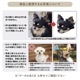 ǯ٥ȡ _ 8ꥸʥT