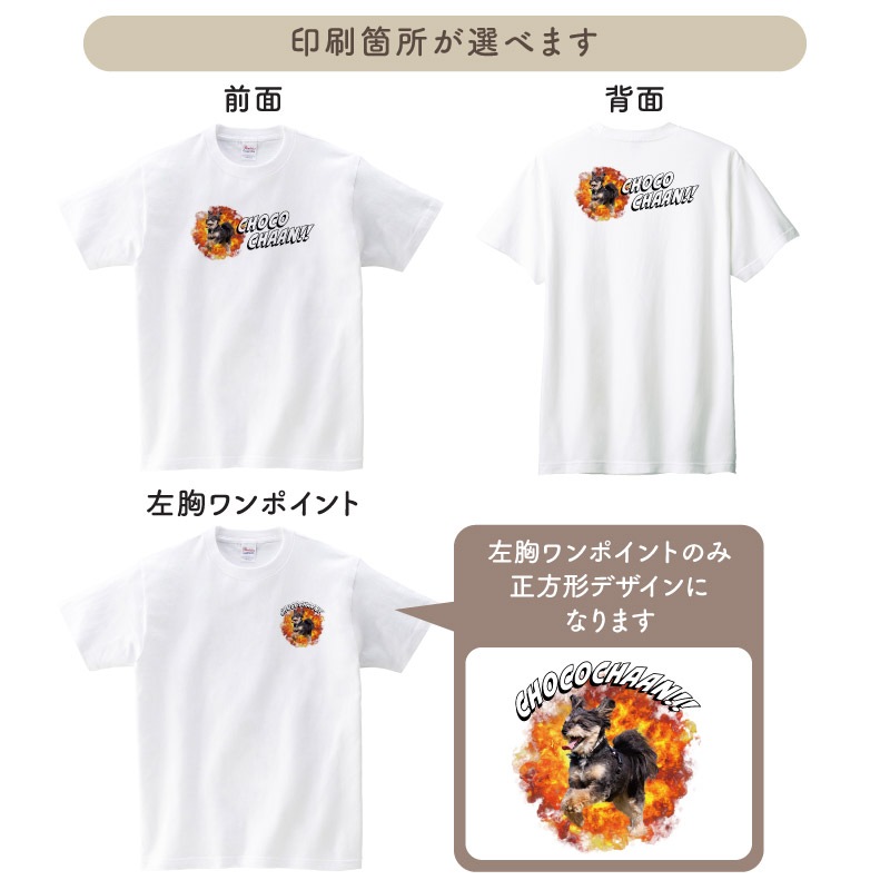 �����ǥ���̵���硪 _ ����ȯ T�����