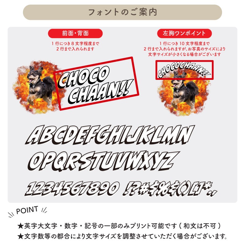 �����ǥ���̵���硪 _ ����ȯ T�����