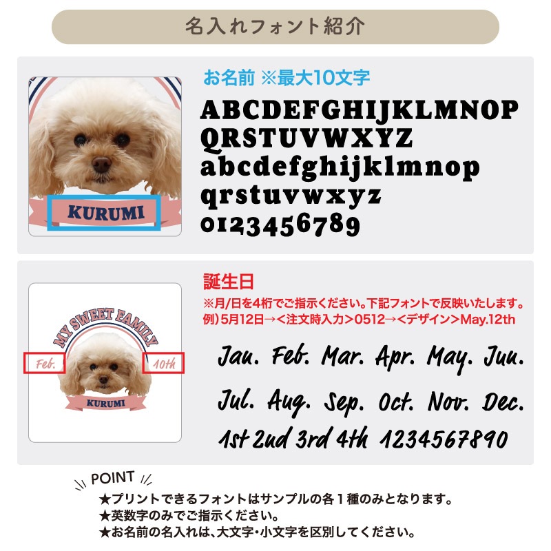 �İ����ڥåȤȤ��Ĥ���� _ ����å����ڥåȥե������ȡ��ȥХå�