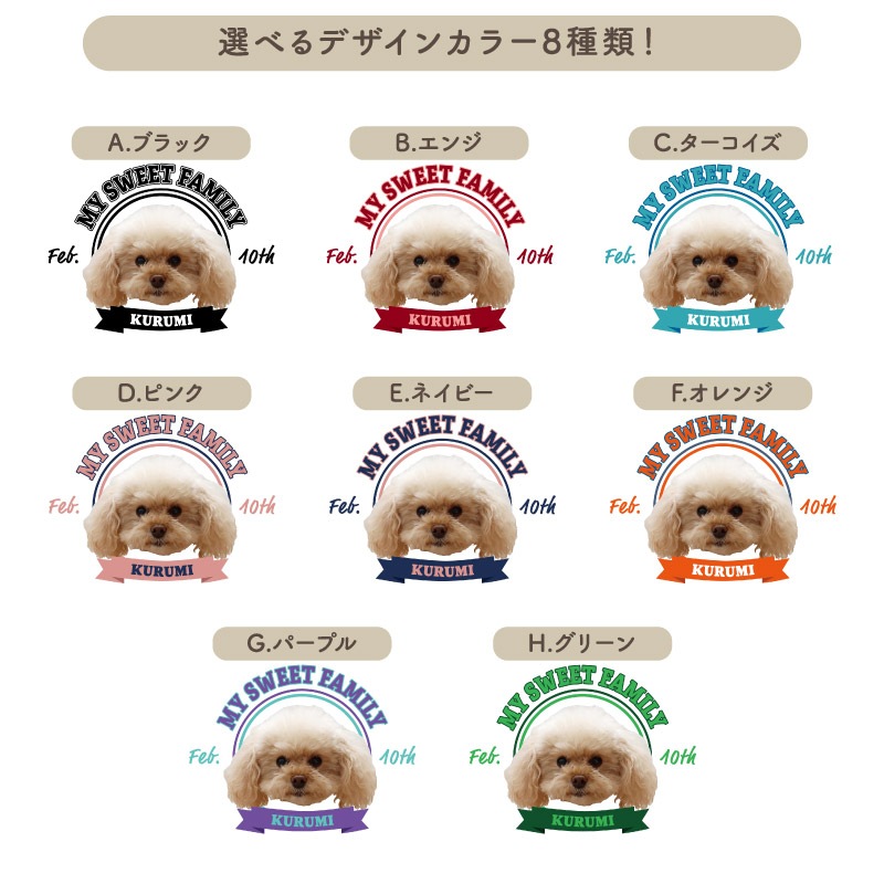 �İ����ڥåȤȤ��Ĥ���� _ ����å����ڥåȥե������ȡ��ȥХå�