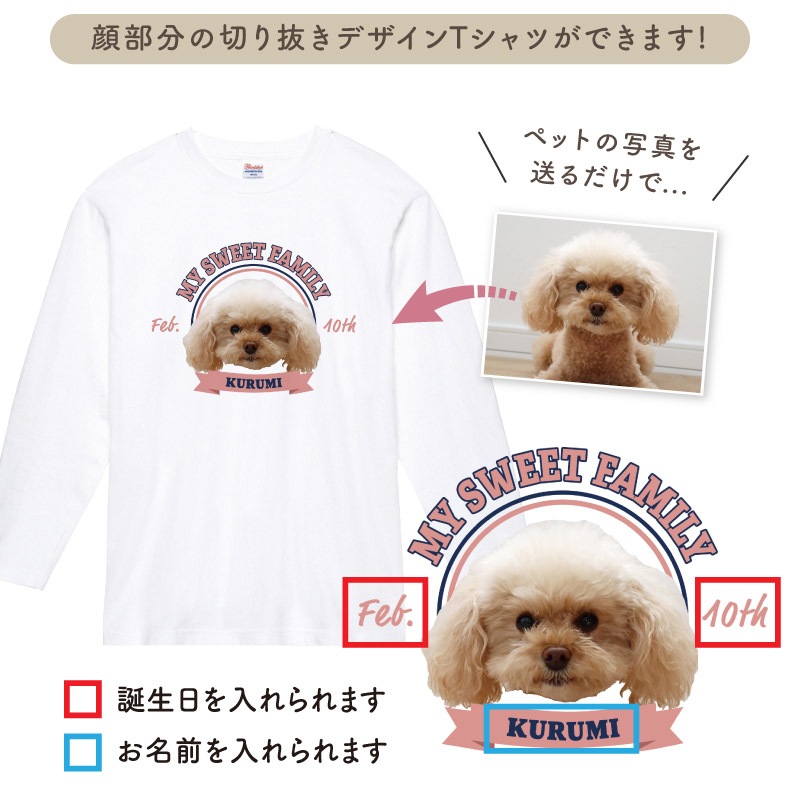 �İ����ڥåȤȤ��Ĥ��������å��� _ �ڥåȥե����������T