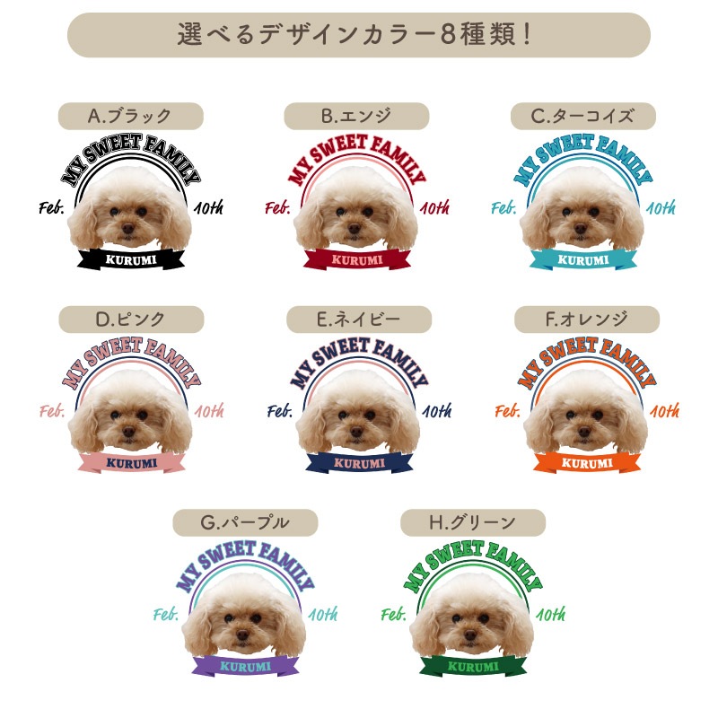 �İ����ڥåȤȤ��Ĥ��������å��� _ �ڥåȥե����������T