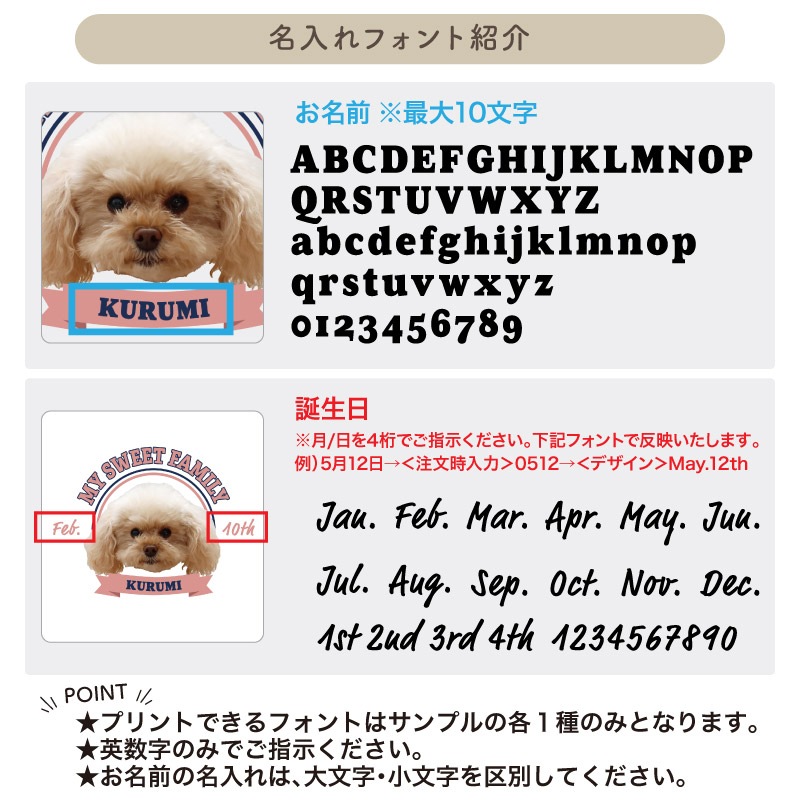 �İ����ڥåȤȤ��Ĥ��������å��� _ �ڥåȥե����������T