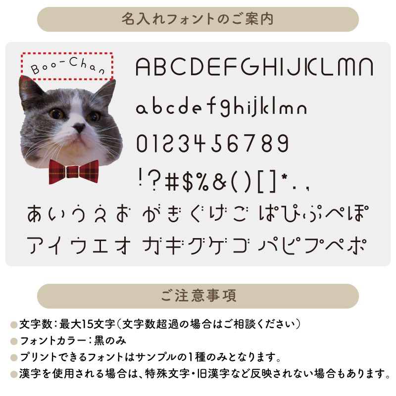 ̾��������٤� ĳ�ͥ����� _ ���ᤫ���ڥåȥե���������T