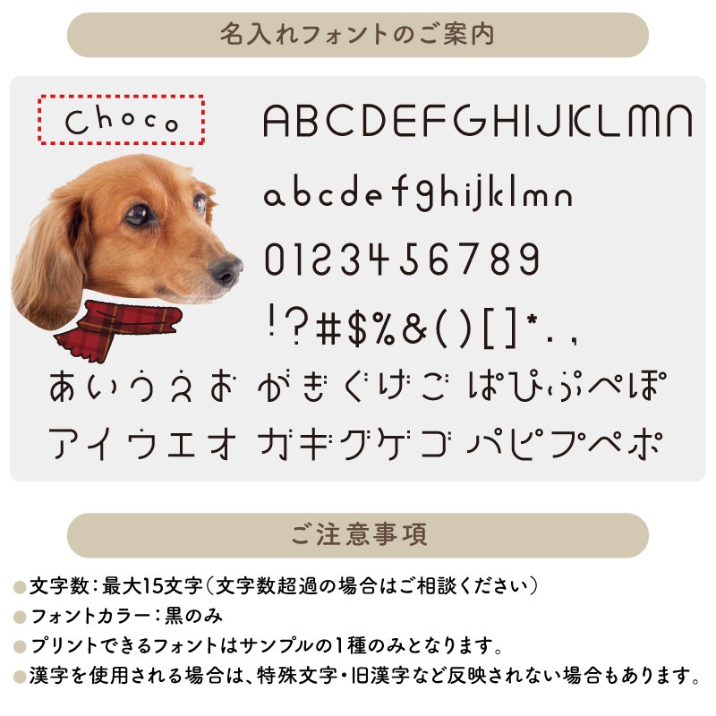 ̾٤ ꡼ _ ᤫڥåȥեT