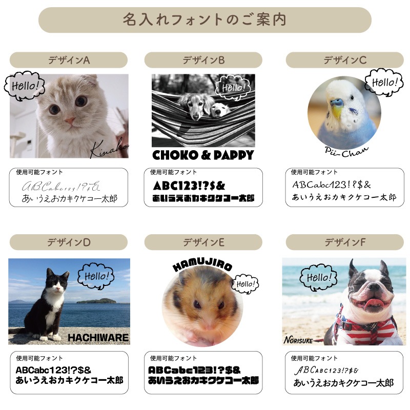 ̾����ߥ�å�������������롪 _ �ڥåȥ����å���