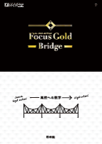 Focus Gold Bridge�ݹ⹻�ؤο��ء�