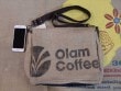 OLAM01