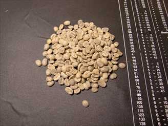 �ޥ��ꡡ�ۥ磻�ȥ�����