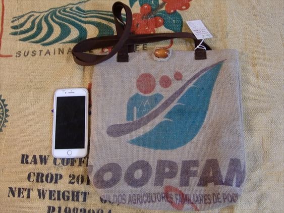 �����ץե���Brazil��