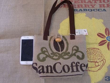 �֥饸��SAN�����ҡ���������