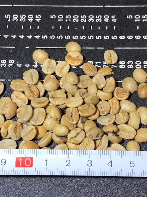 �֥饸�롡�������˥硡�֥��