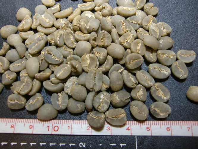 �ޥ�ǥ�󡡥��������������ڎ��ĎʎݎĎގˎߎ���