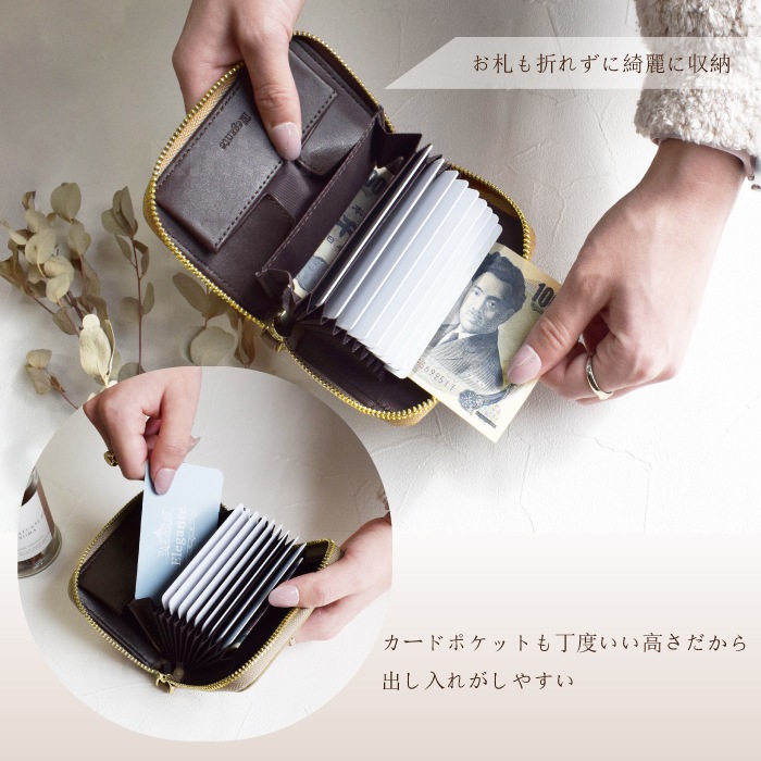 ߥ˺ ܳ  ߥɻ Ф  󥱡