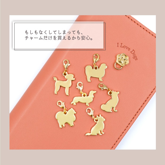 쥬ơɥ ɥ㡼 դؤѡ