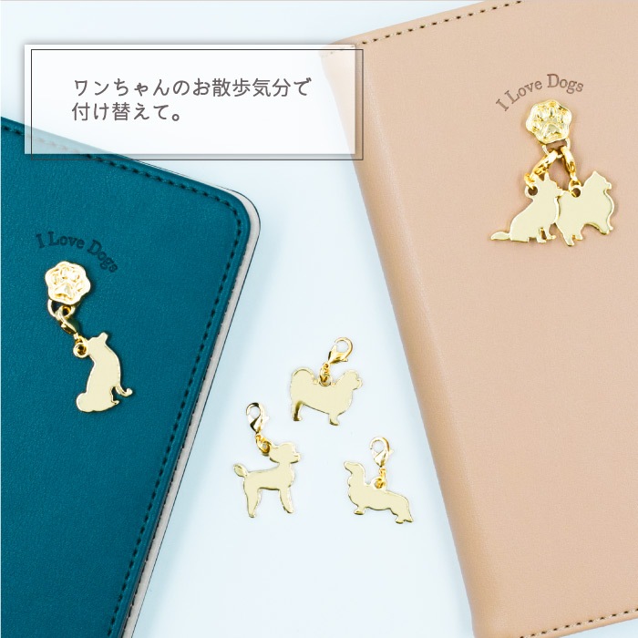 쥬ơɥ ɥ㡼 դؤѡ