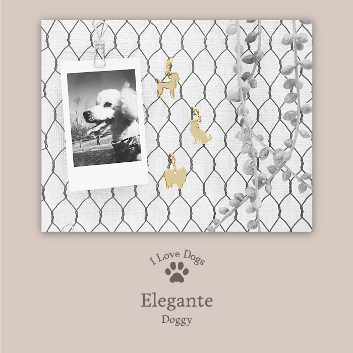 쥬ơɥ ɥ㡼 դؤѡ