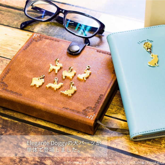 쥬ơɥ ɥ㡼 դؤѡ