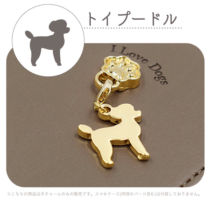 쥬ơɥ ɥ㡼 դؤѡ