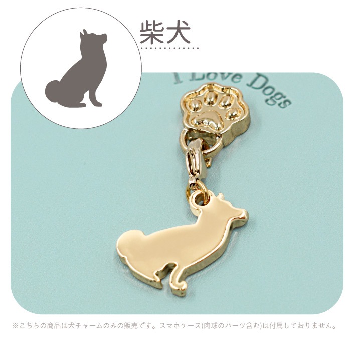 쥬ơɥ ɥ㡼 դؤѡ