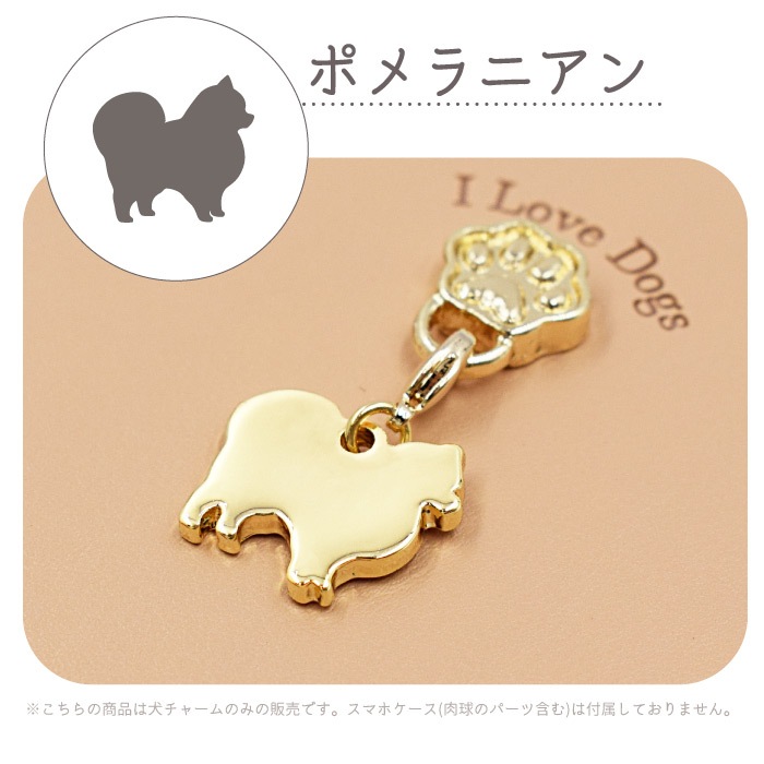 쥬ơɥ ɥ㡼 դؤѡ