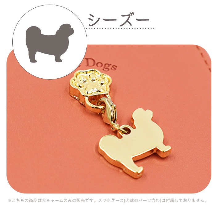 쥬ơɥ ɥ㡼 դؤѡ