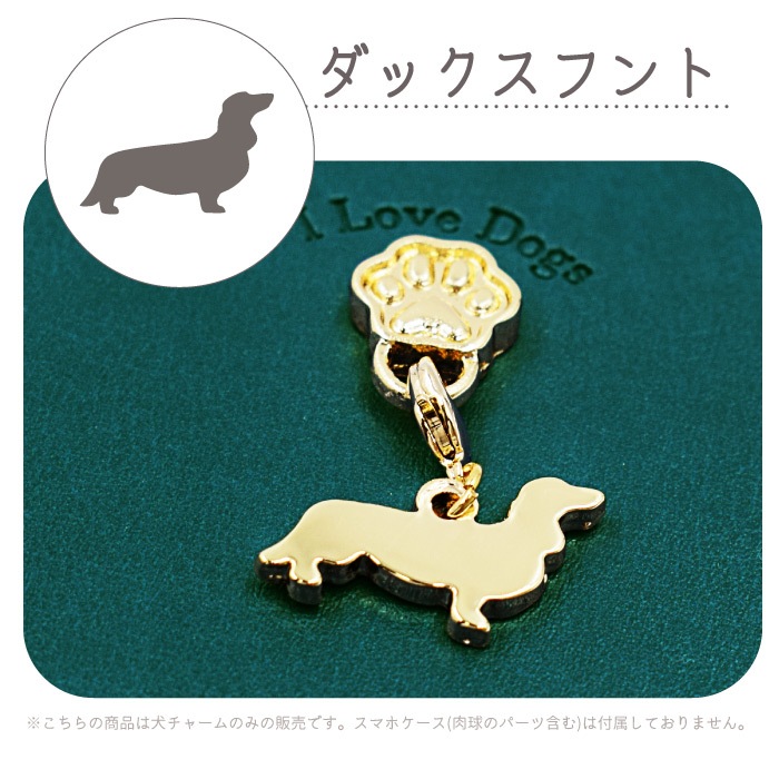 쥬ơɥ ɥ㡼 դؤѡ