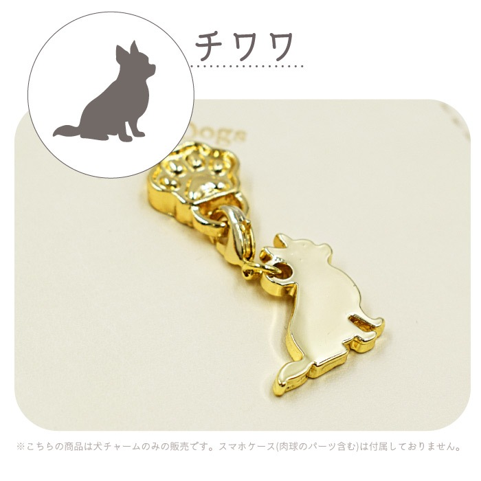 쥬ơɥ ɥ㡼 դؤѡ