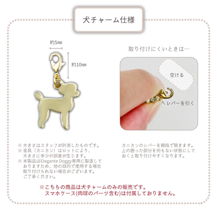 쥬ơɥ ɥ㡼 դؤѡ