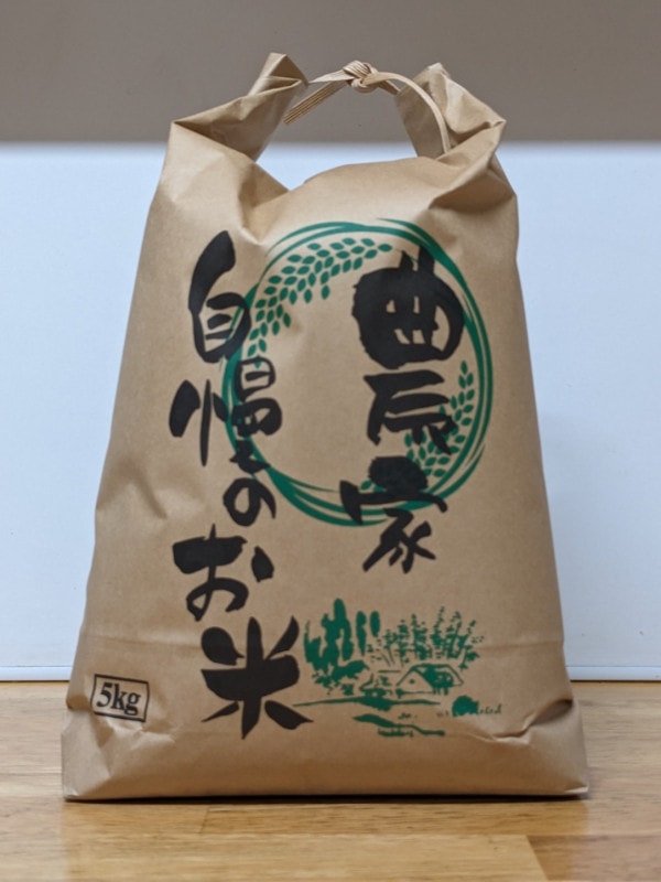 自然栽培　天日干し　ササシグレ(ササニシキ親品種)玄米５kg 2024年産】自然栽培のお米『ササニシキ』玄米5kg | 丹波