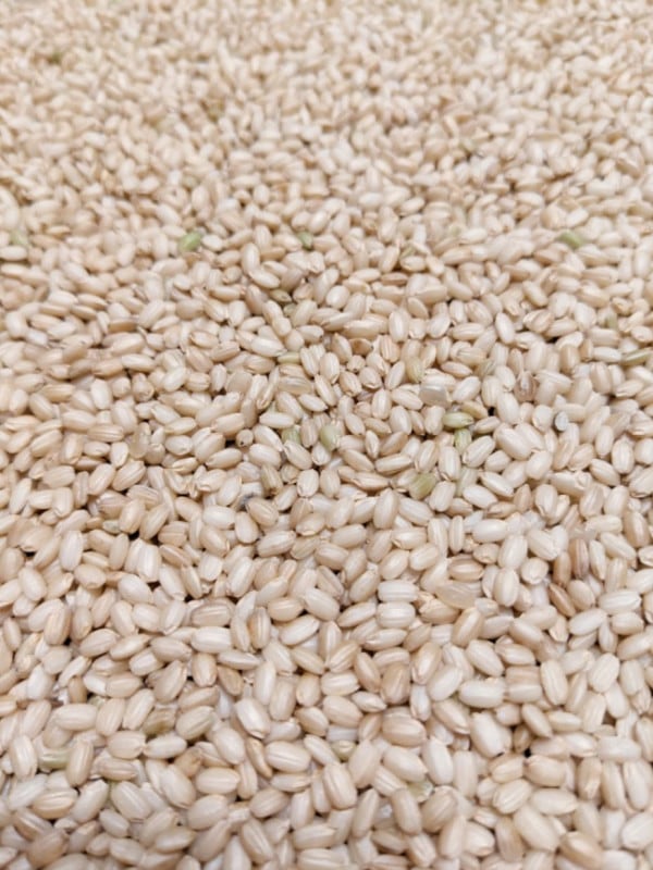 ������ơ������Ǥ�5kg