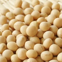 ��γ��λ���Ʀ���̳�ƻ�����ʿ����ѥå��ˡ�